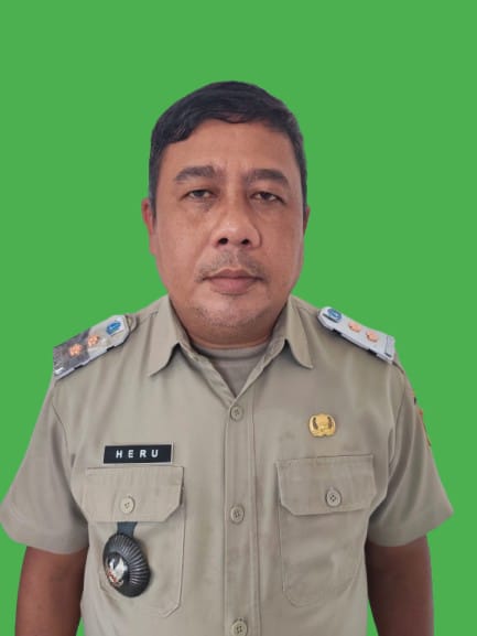 Heru Tri Prasetyo