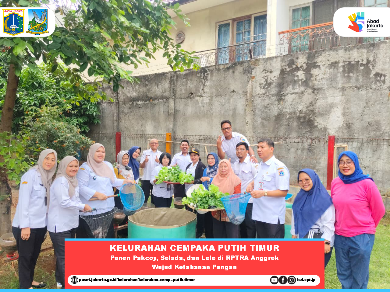 Kelurahan Cempaka Putih Timur Panen Pakcoy, Selada, dan Lele di RPTRA Anggrek, Wujud Ketahanan Pangan