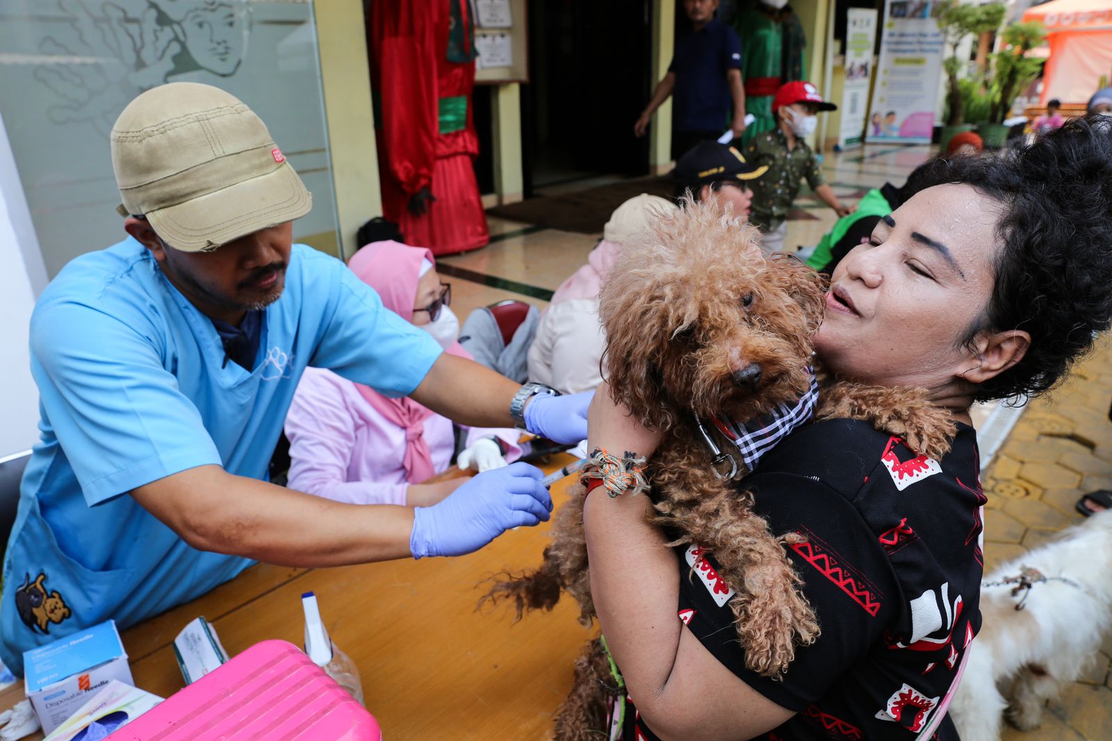 Sudin KPKP Vaksin 55 Hewan Peliharaan di Kantor Kelurahan Cempaka Baru