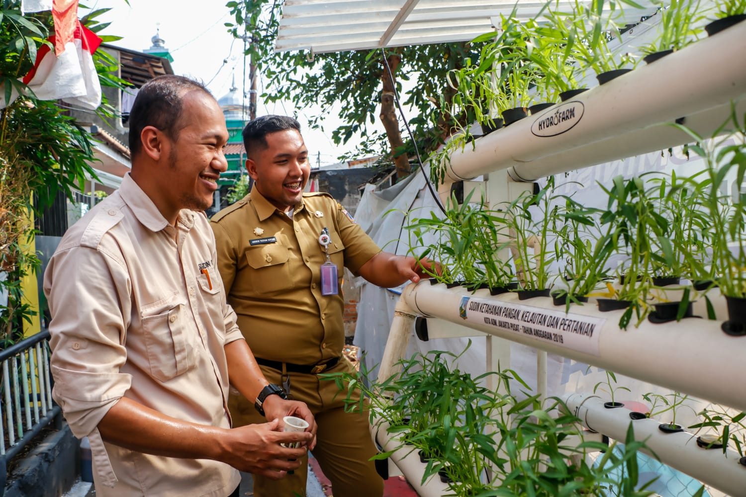Jajaran Kelurahan Galur Monitoring  Penilaian Kesiapan Urban Farming di Gang Kwista