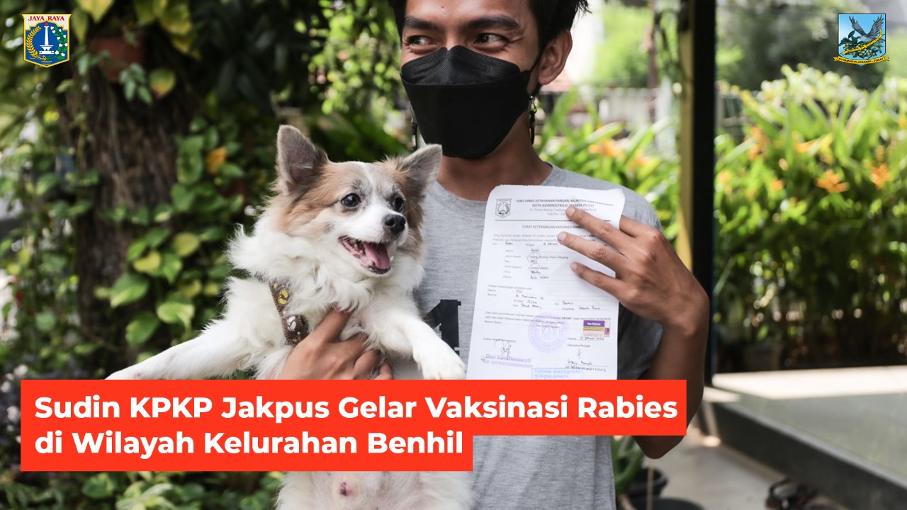 Sudin KPKP Jakarta Pusat Gelar Vaksinasi Rabies di Wilayah Kelurahan Bendungan Hilir