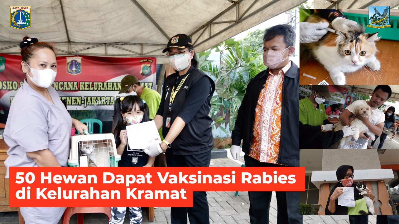50 Hewan Dapat Vaksinasi Rabies di Kelurahan Kramat