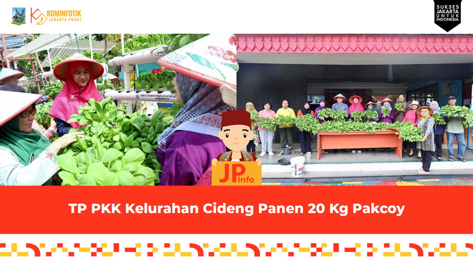 TP PKK Kelurahan Cideng Panen 20 Kg Pakcoy